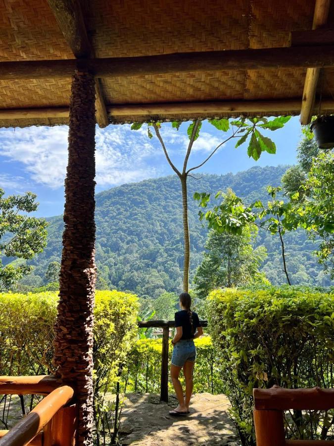 Bwindi Forest Lodge Buhoma Dış mekan fotoğraf