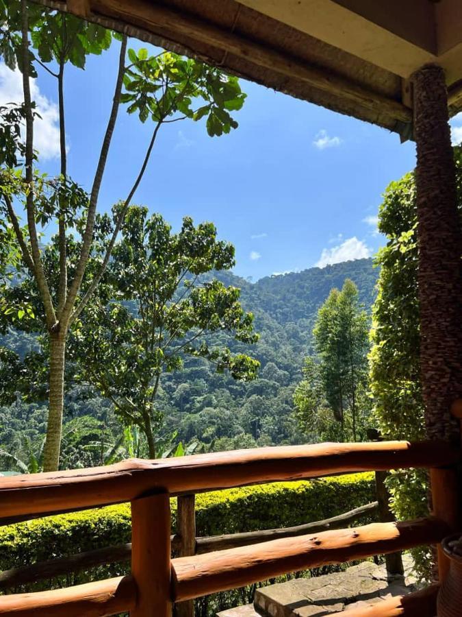 Bwindi Forest Lodge Buhoma Dış mekan fotoğraf