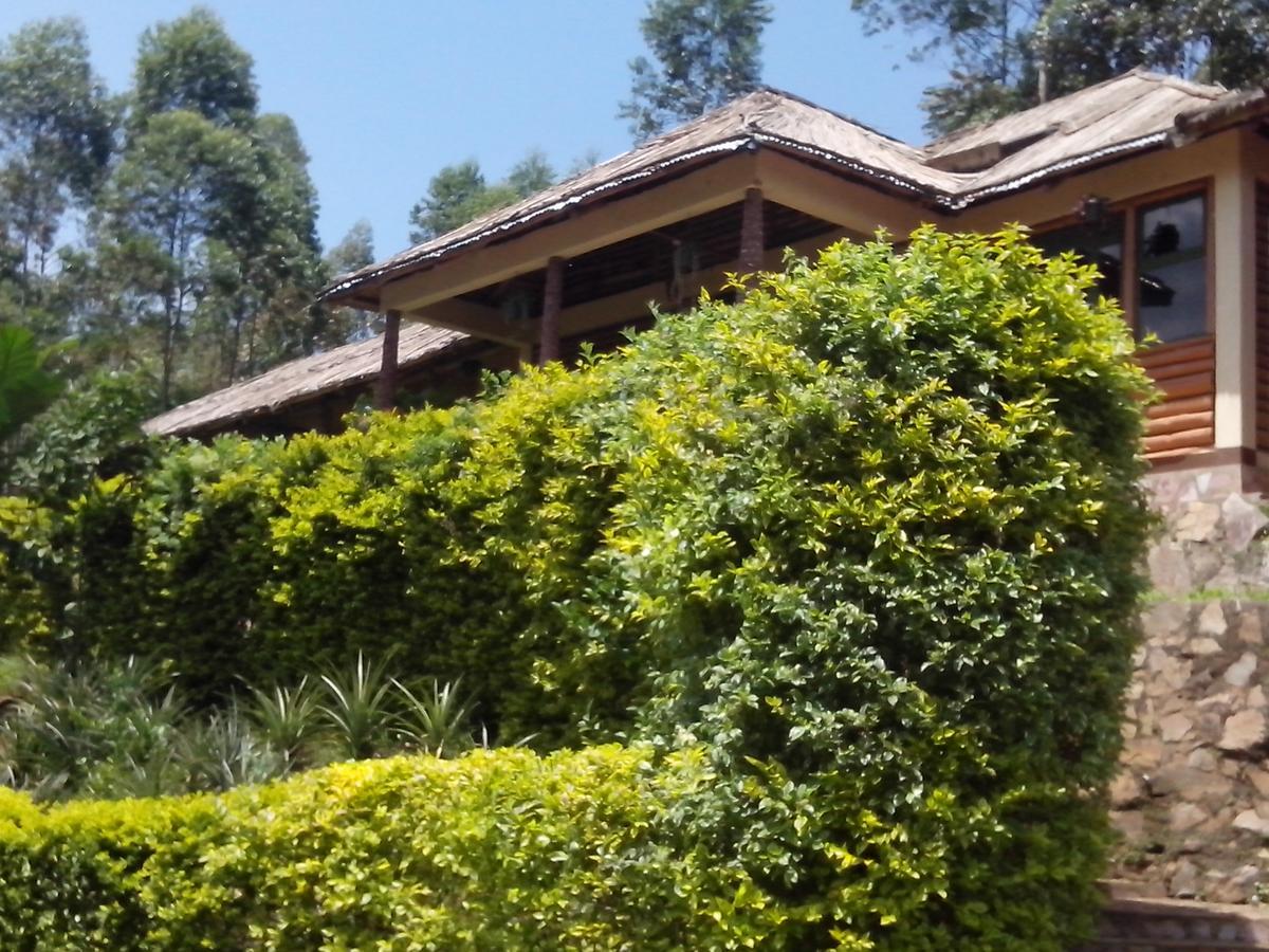 Bwindi Forest Lodge Buhoma Dış mekan fotoğraf